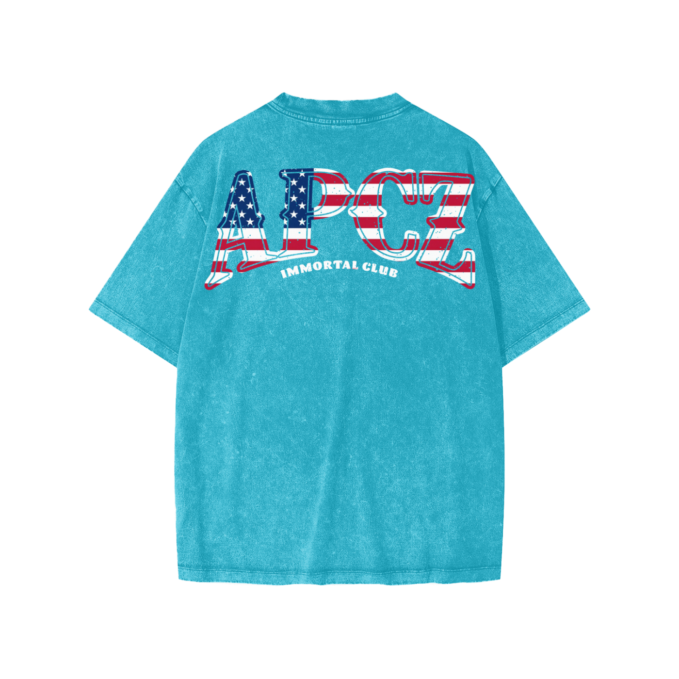 Snow Washed Kids' T-Shirt (USA) Back
