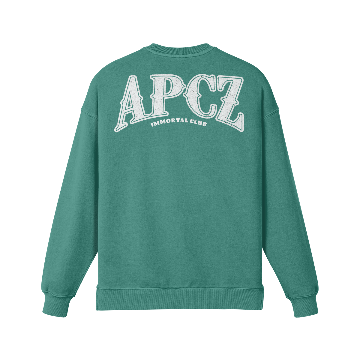 APCZ CREW NECK (BACK)