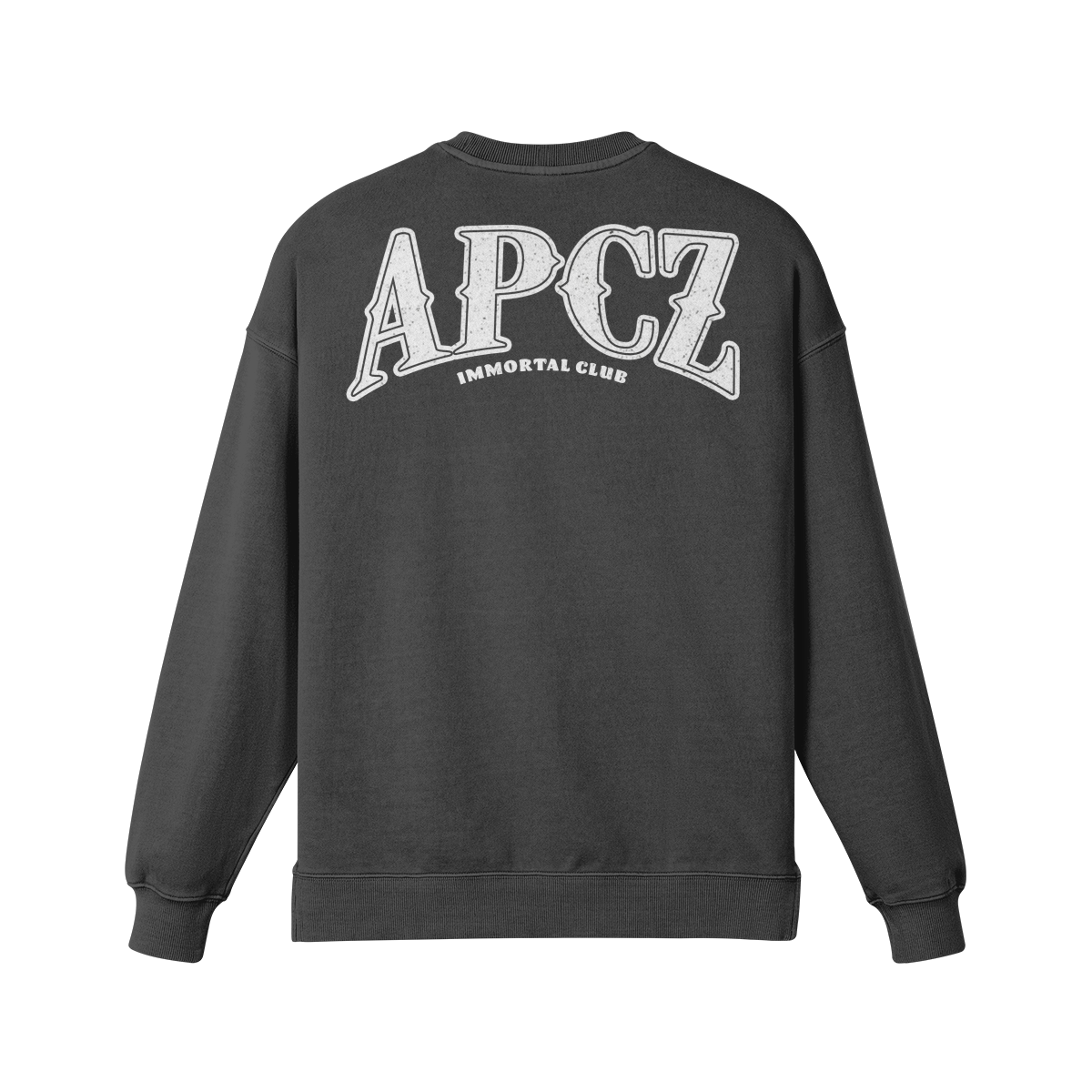 APCZ CREW NECK (BACK)