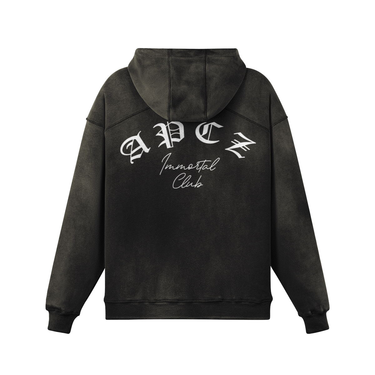 SUN FADED HOODIE (OLD ENGLISH) BACK